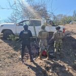 SSP y Marina aseguran 3 armas largas y 289 cartuchos útiles en Arteaga