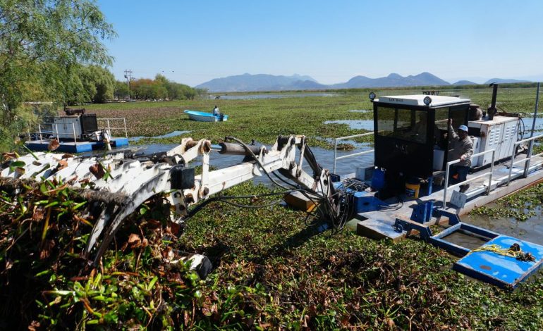 Michoacán rehabilitará 60 hectáreas del lago de Cuitzeo