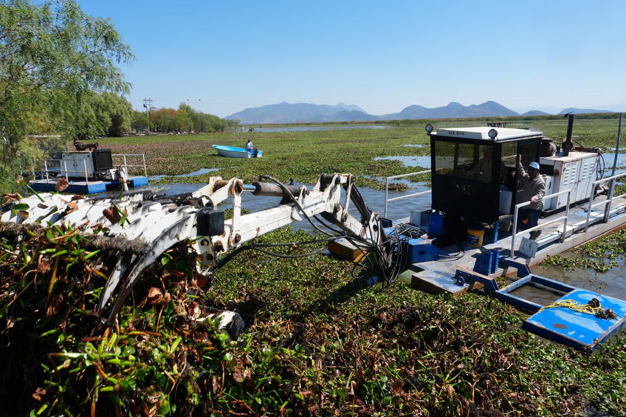 Michoacán rehabilitará 60 hectáreas del lago de Cuitzeo