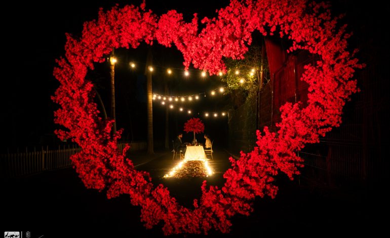 Vive una cena romántica bajo las estrellas en el Zoológico de Morelia