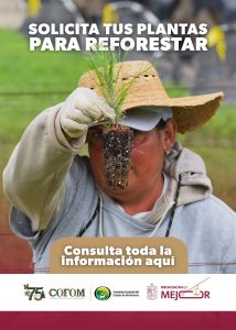¿Tienes un predio forestal? Solicita ya en la Cofom tus árboles gratuitos para reforestar