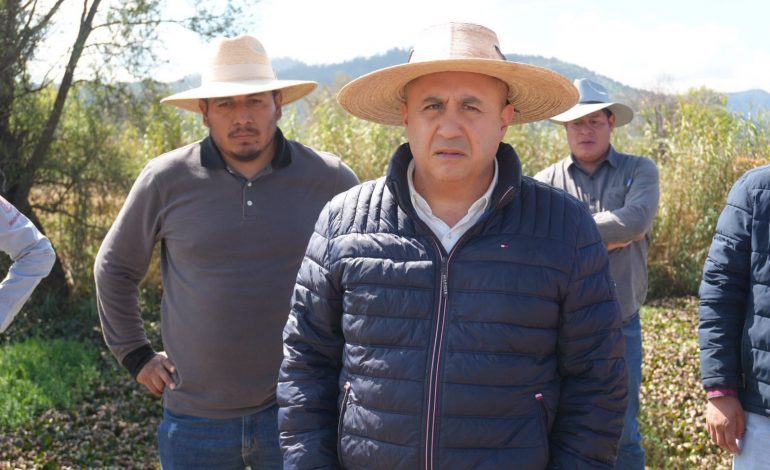 Empleo temporal y limpieza integral marcan la ruta para rescate del lago de Pátzcuaro: Compesca.