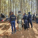 Desmantelan campamento ilícito en la sierra de Queréndaro