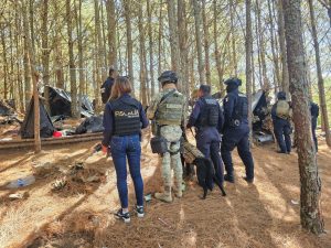 Desmantelan campamento ilícito en la sierra de Queréndaro