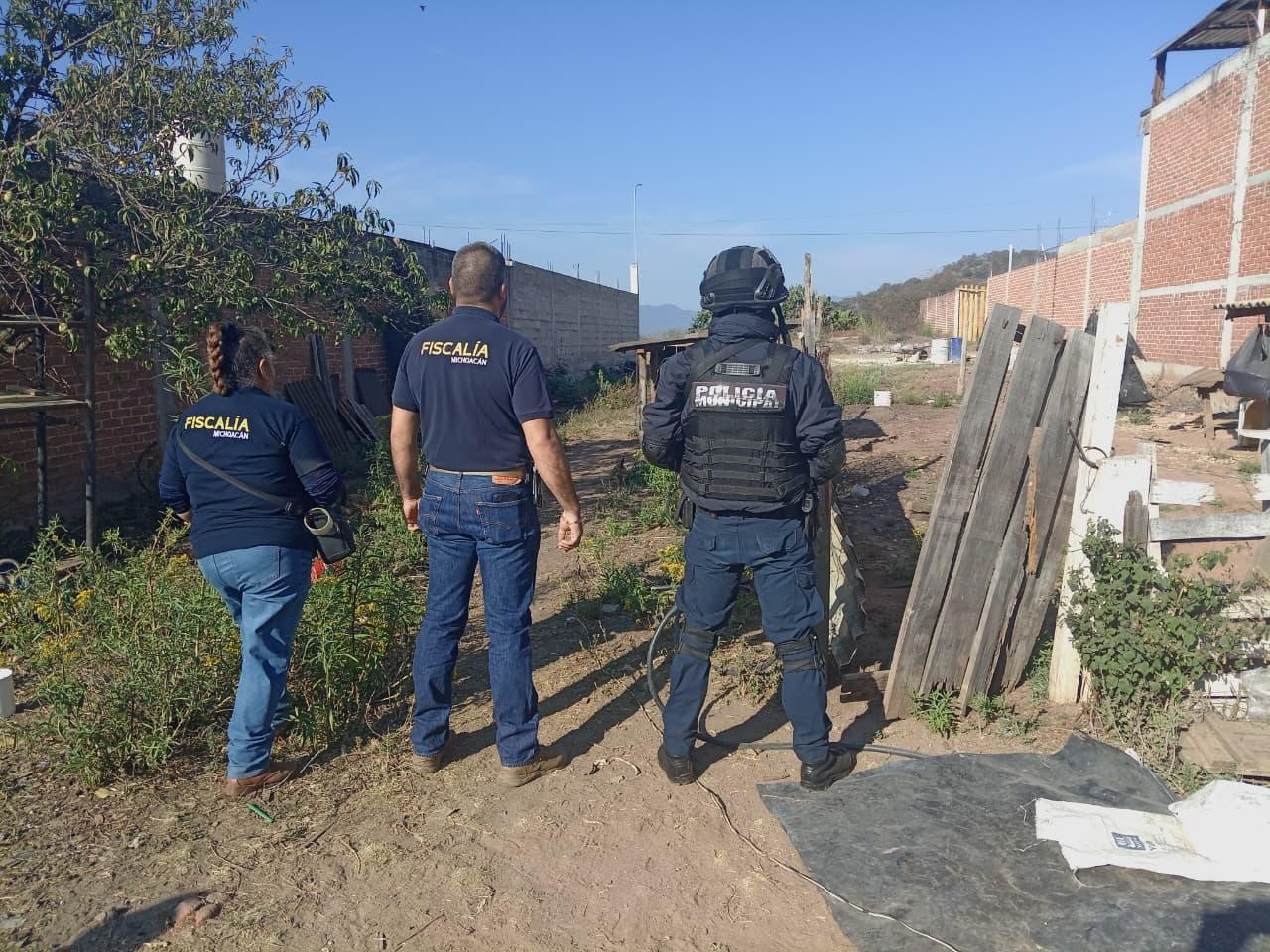 FGE rescata seis perros víctimas de maltrato animal en Hidalgo