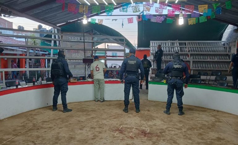 SSP desactiva 9 palenques clandestinos en lo que va de 2026