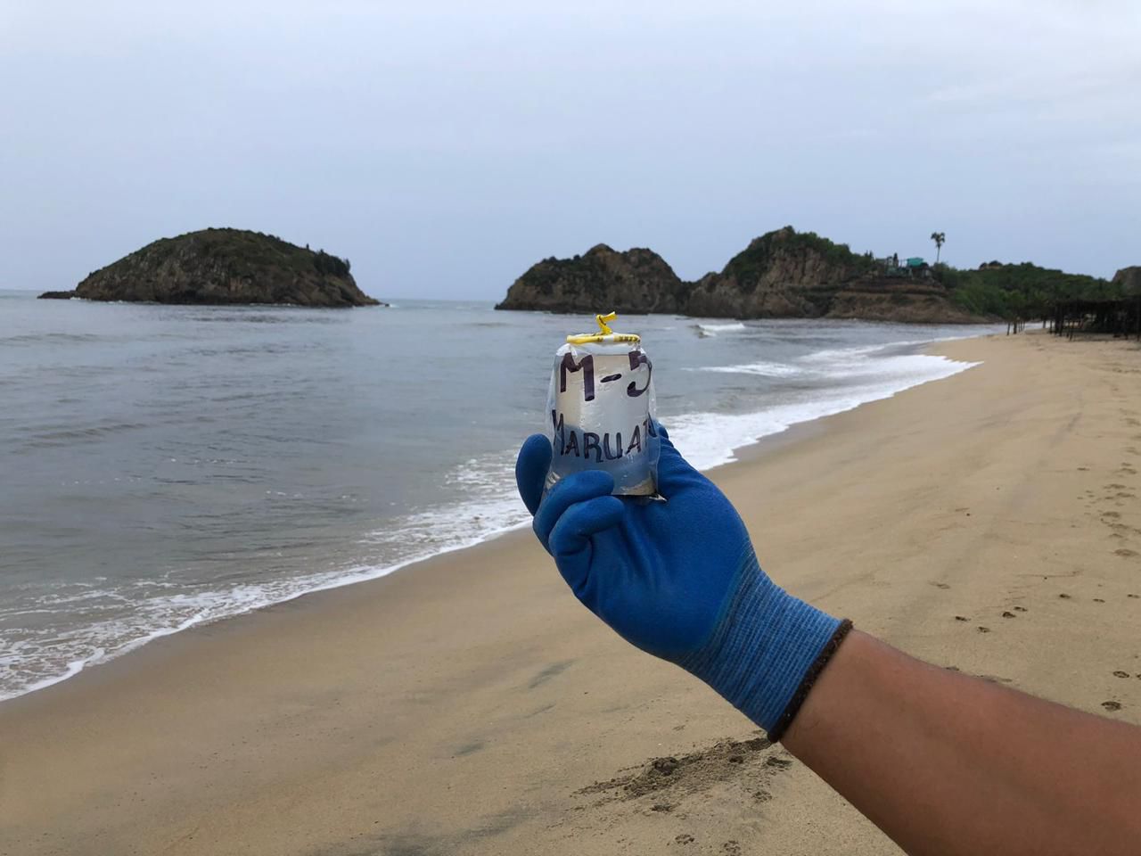 Vacaciones seguras: Playas de Michoacán listas para Semana Santa