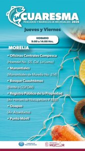 Ahorra en esta Cuaresma, compra pescados y mariscos directo del productor, te decimos dónde