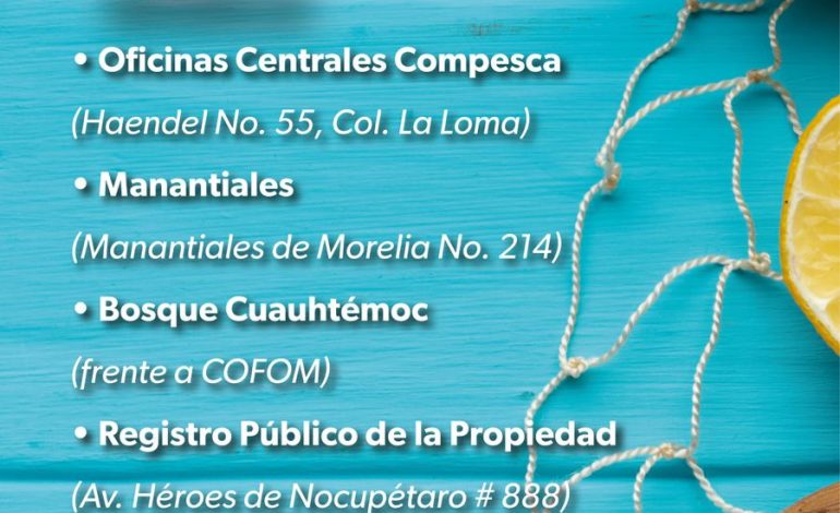 Ahorra en esta Cuaresma, compra pescados y mariscos directo del productor, te decimos dónde