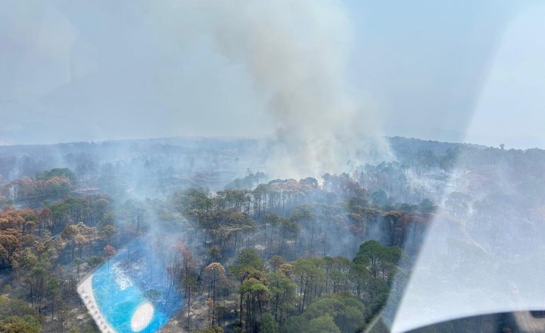 Controlado el 90 % del incendio forestal en el Área Natural Protegida de Tzitzio