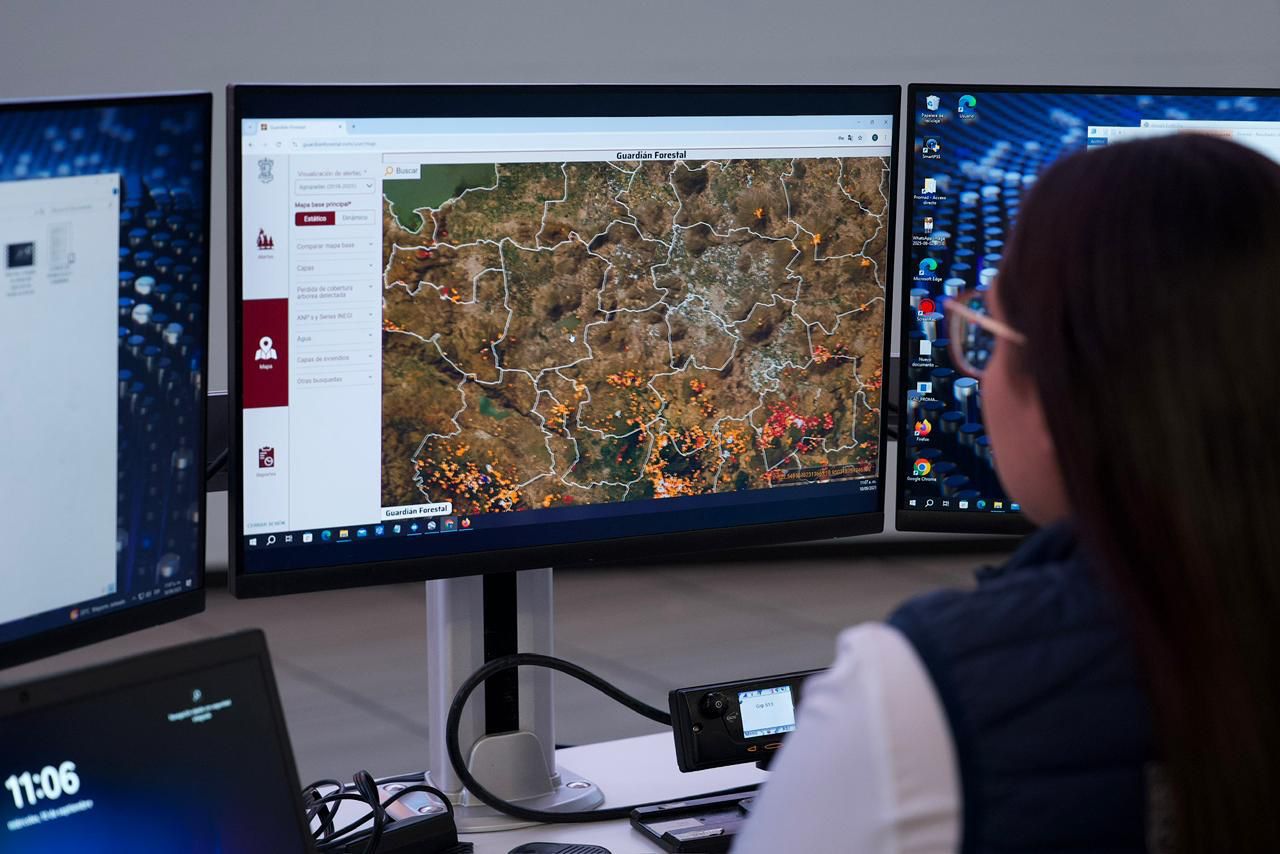 Guardián Forestal, escudo de la Mariposa Monarca en Michoacán: Secma