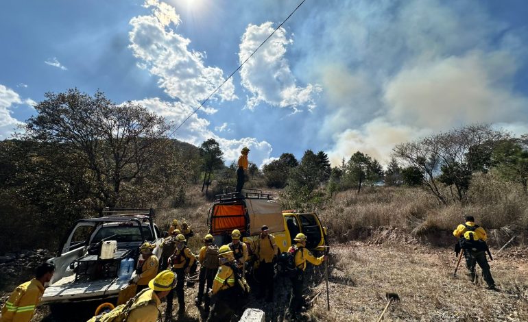 Brigadistas de Conafor realizan arduo trabajo para sofocar incendios forestales en Ciudad Hidalgo