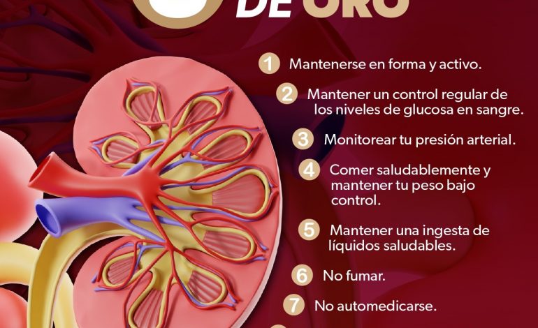 Hábitos saludables, la mejor defensa para prevenir la insuficiencia renal: SSM