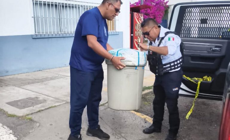 Policía Morelia atiende un reporte sobre la presencia de una víbora en la colonia Felicitas del Río