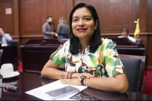 Eréndira Isauro propone regular propaganda digital electoral.