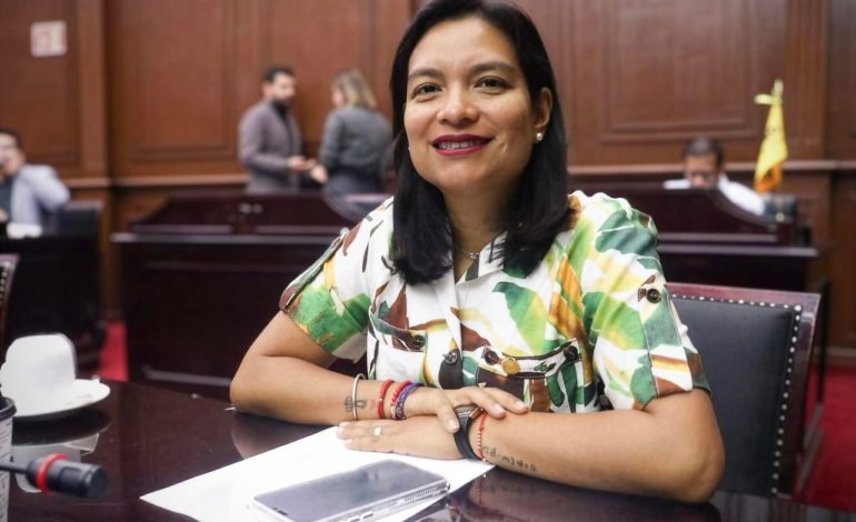 Eréndira Isauro propone regular propaganda digital electoral.