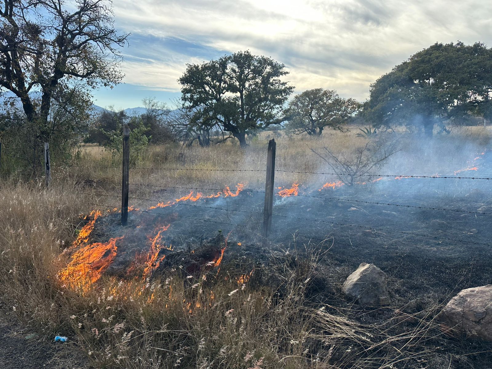 🔥 Incendio de pastizal controlado en el libramiento norte de Ciudad Hidalgo.
