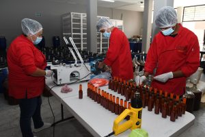 Michoacán supera el medio millón de empleos formales; alcanzó su cifra más alta en febrero.