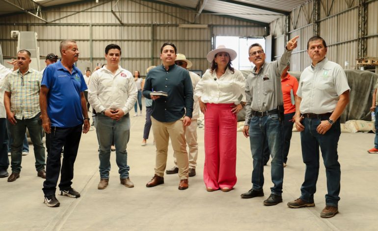 Fabiola Alanís visitó la zona de producción de arroz y mango en la tierra caliente.
