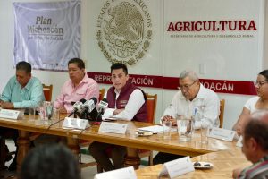 Dispersados más de 374 mdp en incentivos para productores de maíz en Michoacán.