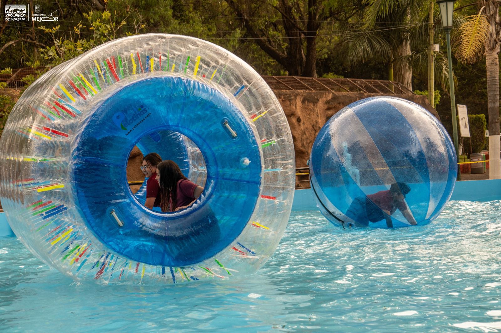 ¡Burbujas gigantes y diversión acuática! El zoológico estrena atractivos estas vacaciones