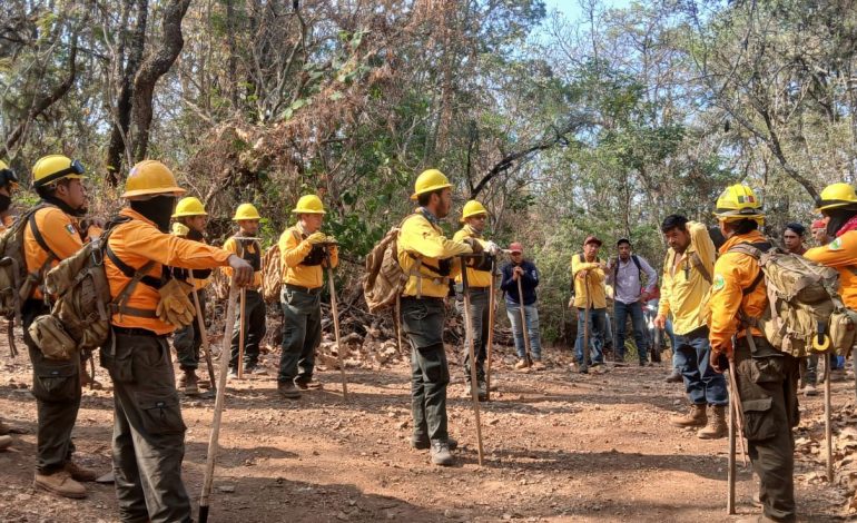 Michoacán logra reducir más del 44 % la superficie afectada por incendios forestales