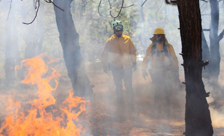 Atiende Gobierno de Michoacán incendio forestal en Nuevo Urecho