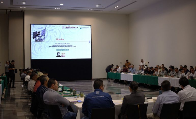 Michoacán alista ciclo exportador de aguacate con enfoque en sanidad y sostenibilidad