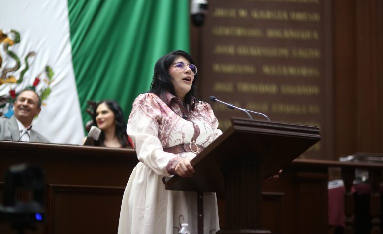 Que niñas, niños y adolescentes mantengan contacto con seres queridos que no tengan la custodia: Vanhe Caratachea