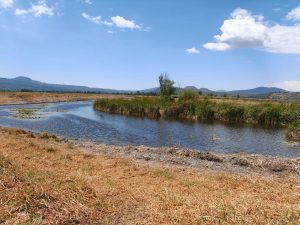SCOP retira más de 21 mil metros cúbicos de azolve en canales del lago de Pátzcuaro
