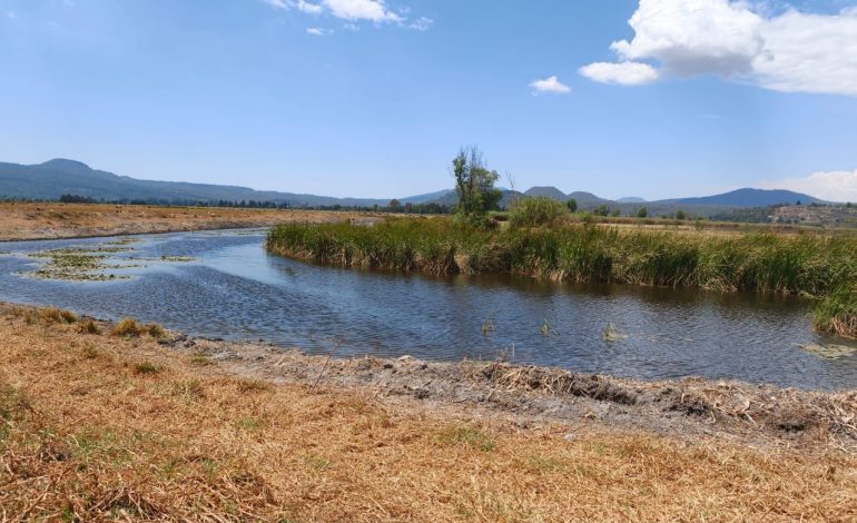 SCOP retira más de 21 mil metros cúbicos de azolve en canales del lago de Pátzcuaro
