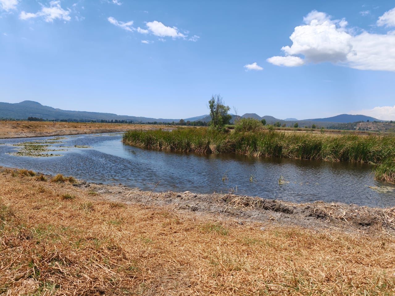 SCOP retira más de 21 mil metros cúbicos de azolve en canales del lago de Pátzcuaro
