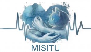 Este domingo, michis y lomitos de La Casita de Frijol y MISITU te esperan: adopta un peludo en feria