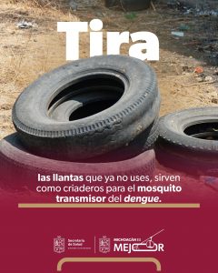 Fumigación no es suficiente contra el dengue: SSM