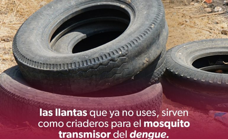 Fumigación no es suficiente contra el dengue: SSM