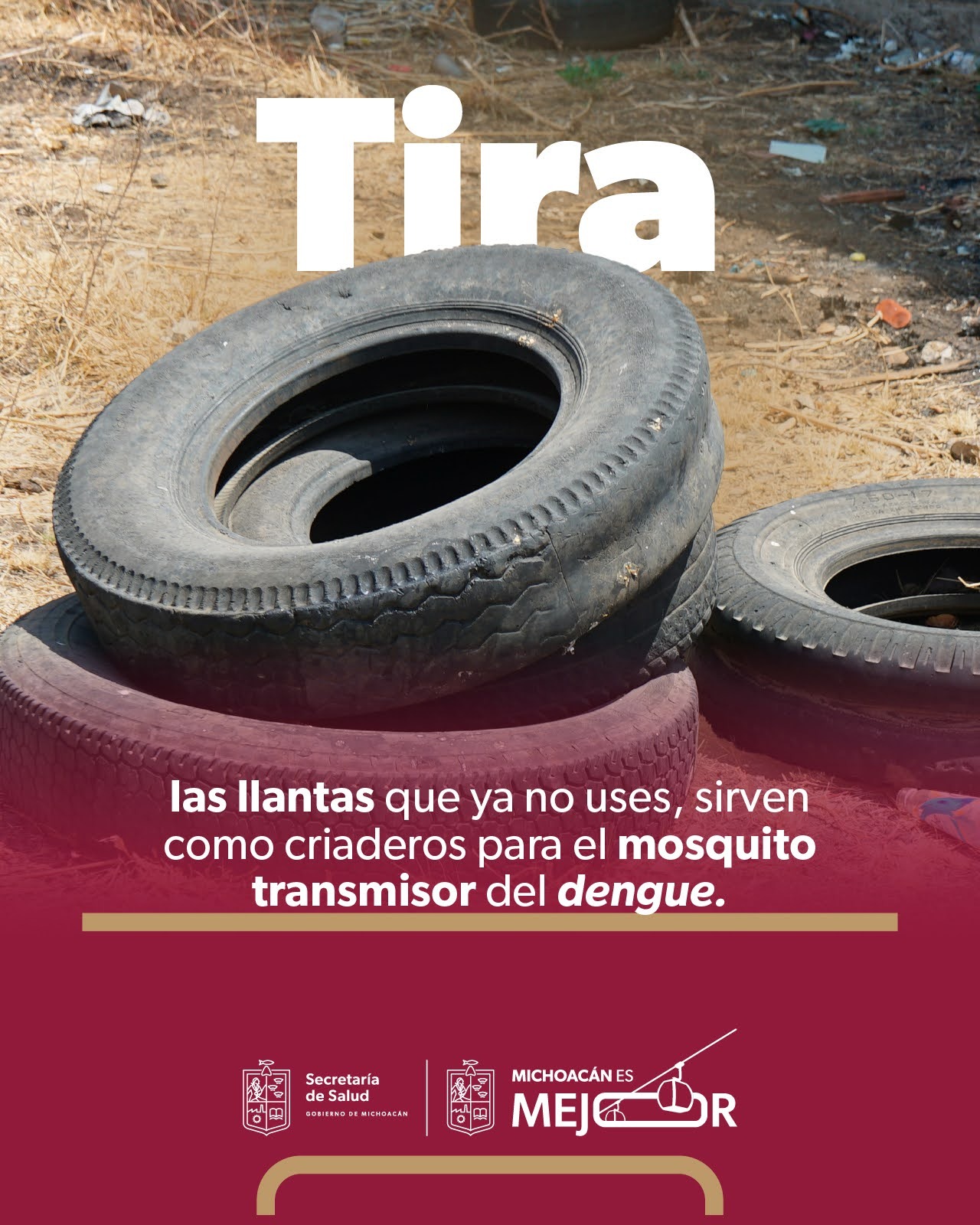 Fumigación no es suficiente contra el dengue: SSM