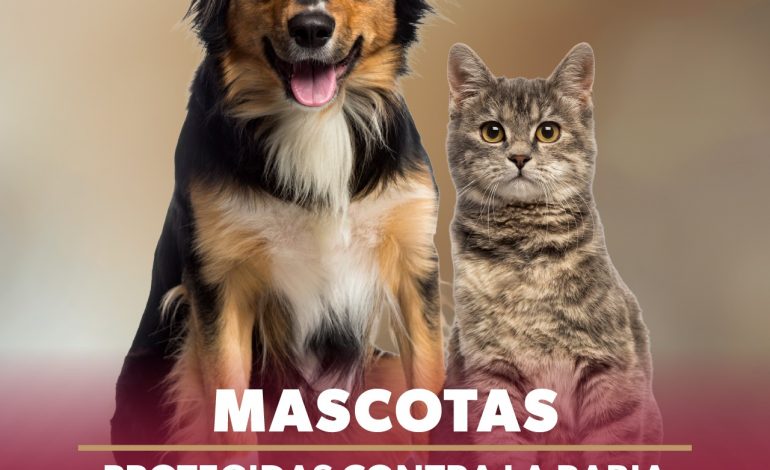 SSM vacuna a más de 104 mil perros y gatos contra la rabia en Michoacán