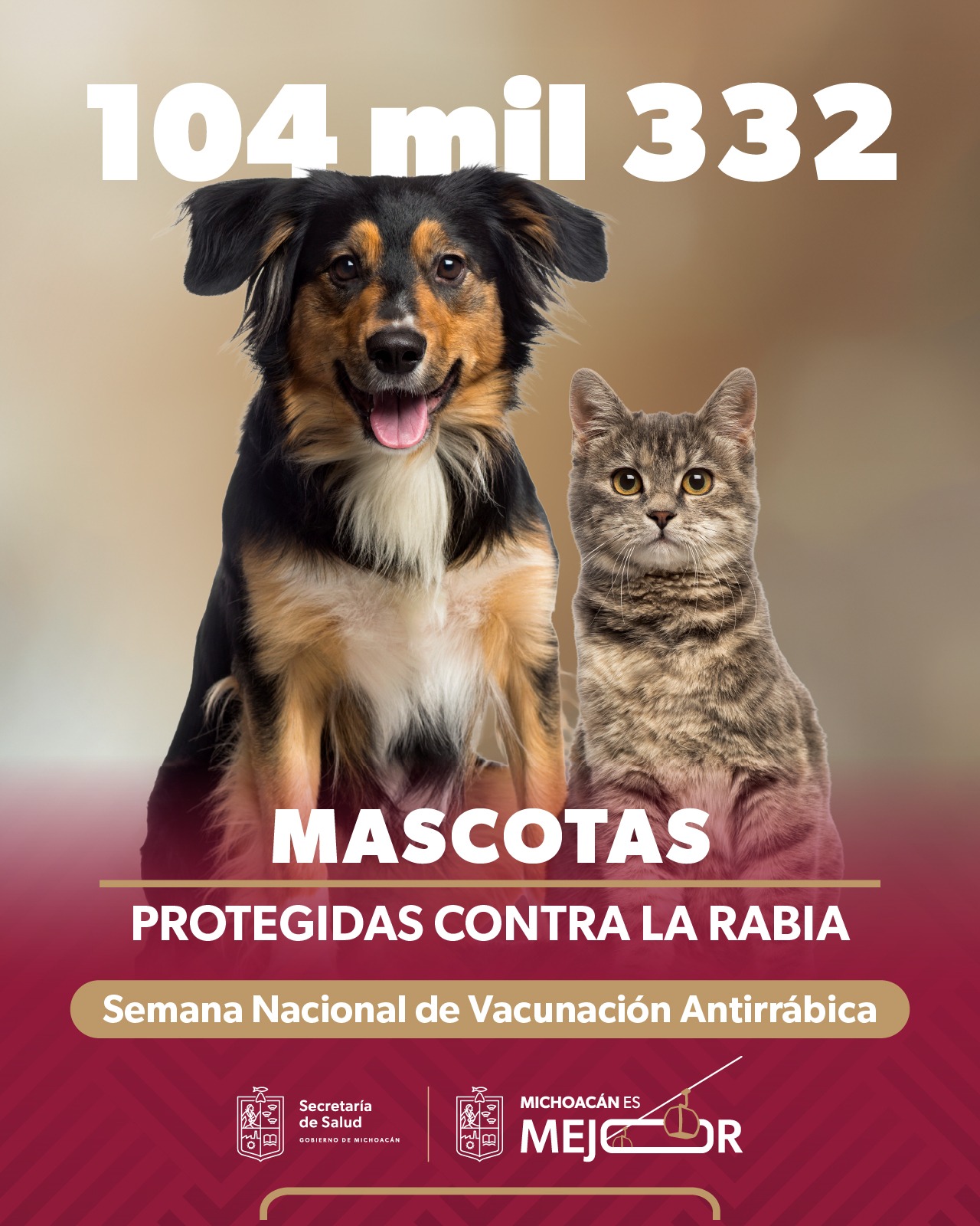 SSM vacuna a más de 104 mil perros y gatos contra la rabia en Michoacán