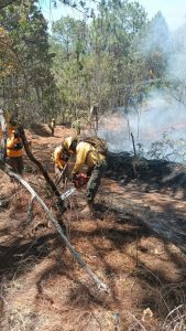 Controlado al 100 % incendio en Nuevo Urecho.