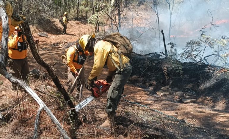 Controlado al 100 % incendio en Nuevo Urecho.