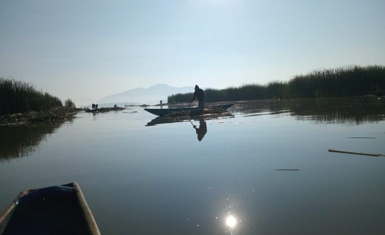 El lago de Pátzcuaro recobra vida; en 2026 se han descubierto 18 manantiales.
