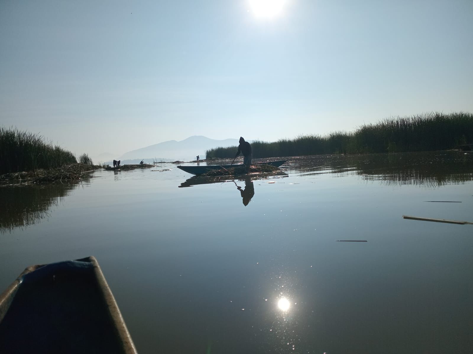 El lago de Pátzcuaro recobra vida; en 2026 se han descubierto 18 manantiales.