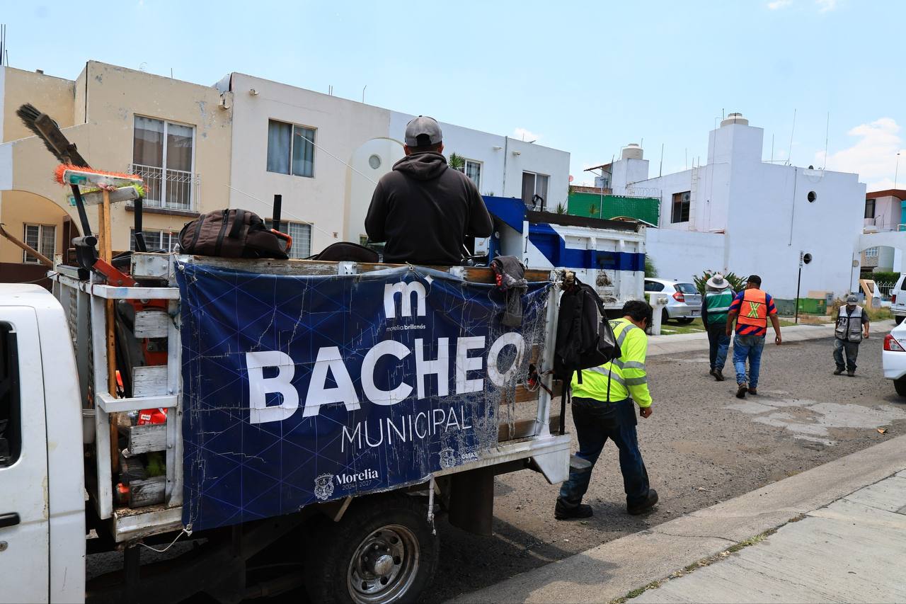 Gobierno de Morelia encabeza poda y mantenimiento de espacios para la ciudadanía