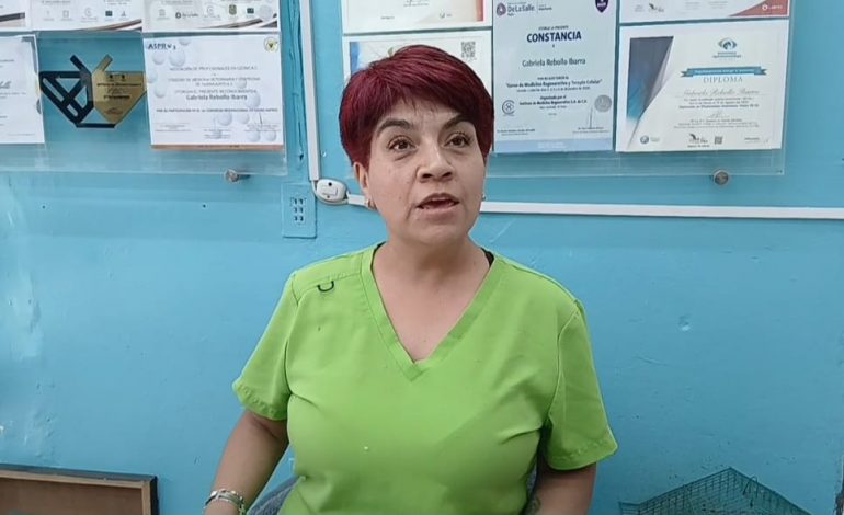 Gaby Rebollo advierte sobre la importancia de la prevención en apoyo a animales callejeros