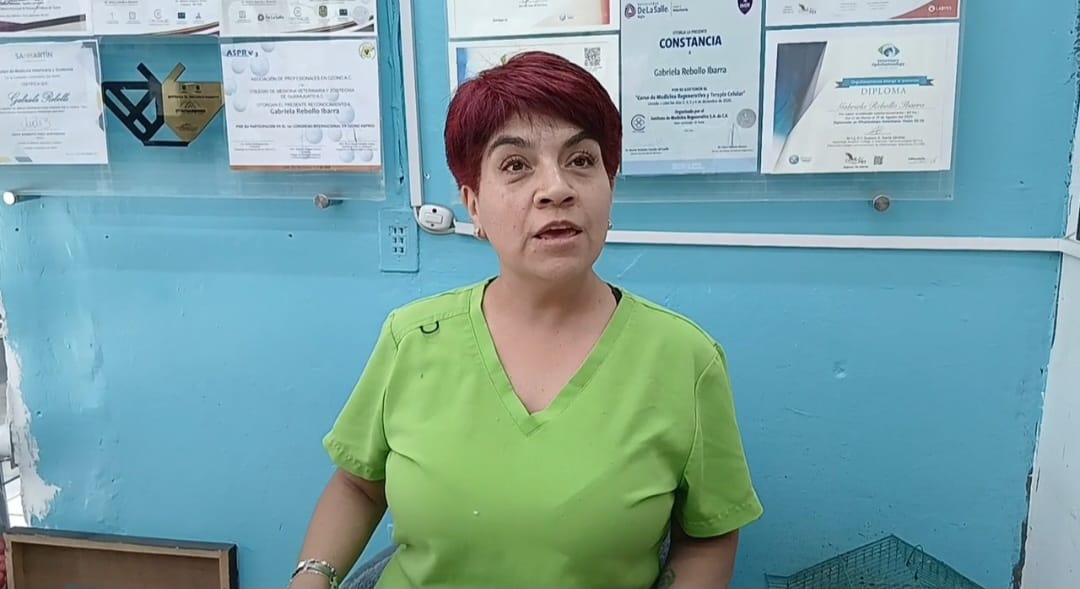 Gaby Rebollo advierte sobre la importancia de la prevención en apoyo a animales callejeros