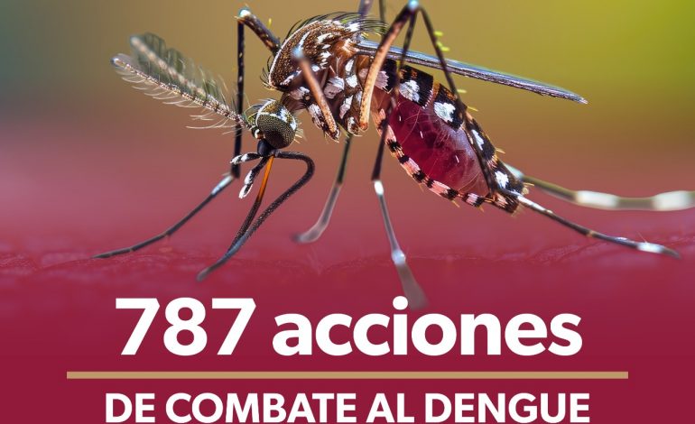 Refuerza SSM combate al dengue con más de 351 mil tareas de prevención