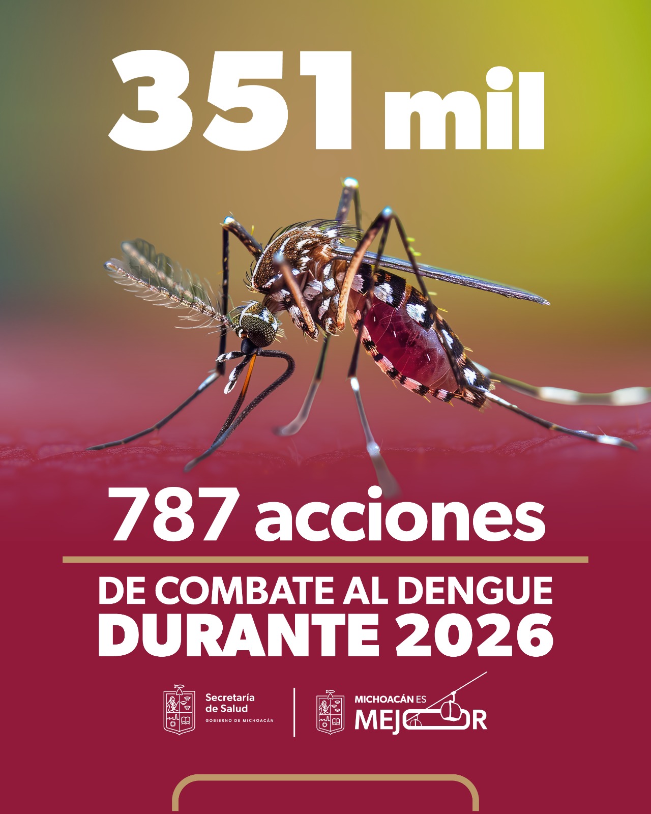 Refuerza SSM combate al dengue con más de 351 mil tareas de prevención
