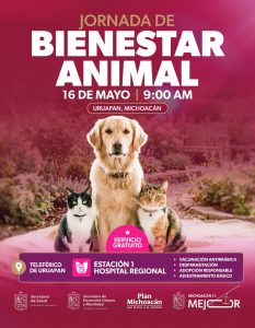 Gladyz Butanda invita a Jornada de Bienestar Animal en el teleférico de Uruapan