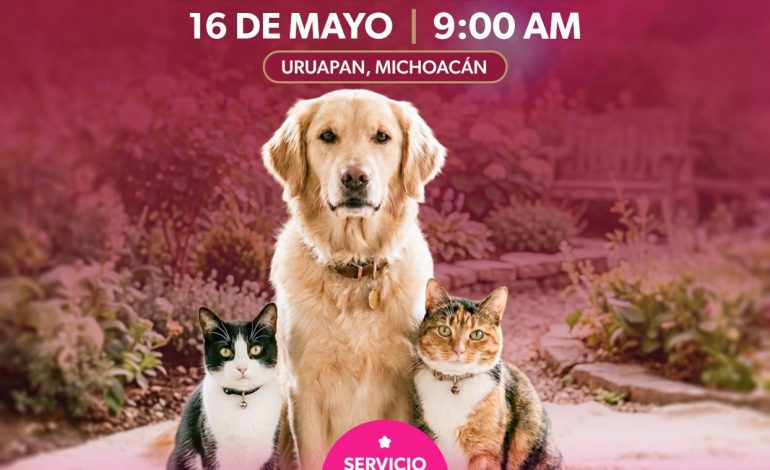 Gladyz Butanda invita a Jornada de Bienestar Animal en el teleférico de Uruapan