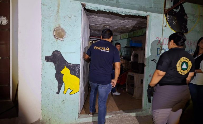 Rescata FGE a cinco ejemplares caninos víctimas de maltrato y abandono en Apatzingán